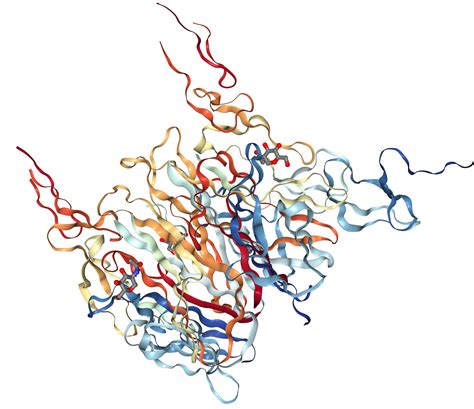 CD40 Ligand/TNFSF5 Protein Overview | Sino Biological