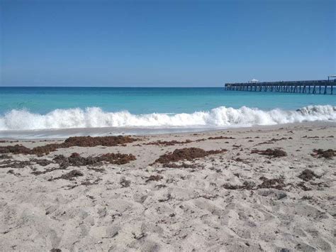 Juno Beach Park - 14775 US-1, Juno Beach, FL 33408, USA - BusinessYab