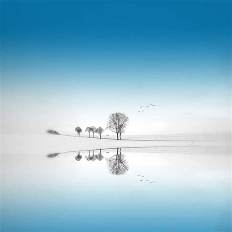 20 Truly Beautiful Water Reflection Photography - Design Swan