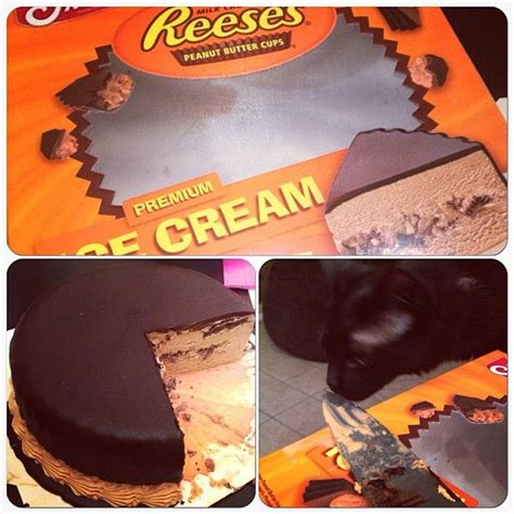 Reeses ice cream cake | Cupcakes, Cakes, & Cake Pops! | Pinterest