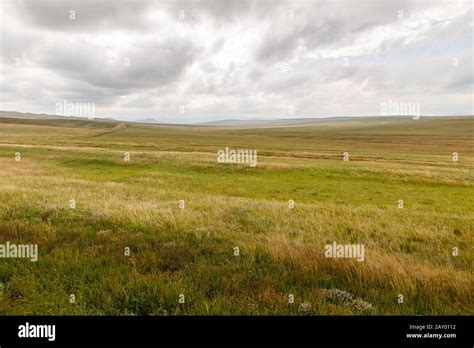 Mongolian steppe on the background of a cloudy sky, Mongolian steppe ...