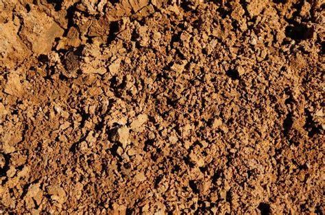 6 Types Of Soil (Differences, Appearance, Uses)