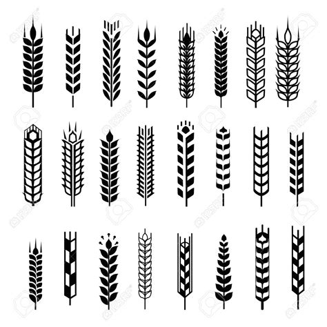 36321408-Wheat-ear-icon-set-leaves-icons-graphic-design-elements-black-isolated-on-white ...