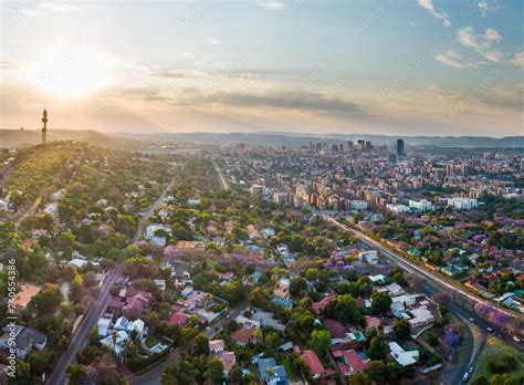 Aerial panorama of Pretoria city skyline at sunset. Jacaranda trees in suburb of Muckleneuk ...