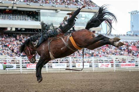 Celebrate the Calgary Stampede | West Coast Traveller