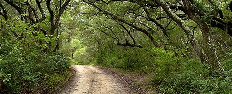 Bon Secour National Wildlife Refuge | Alabama National Wildlife Refuges