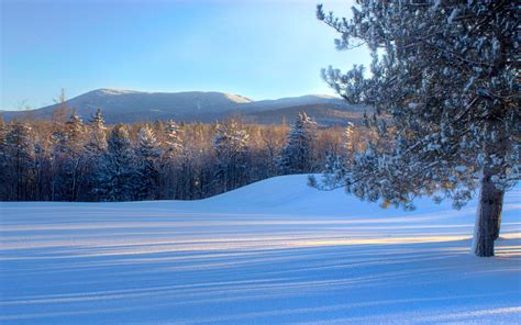 Bread Loaf Mountain, snow, trees, winter, Vermont, USA Desktop ...