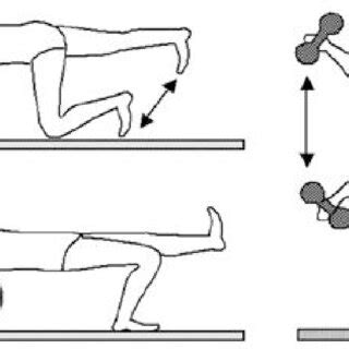 Stabilization exercises. | Download Scientific Diagram