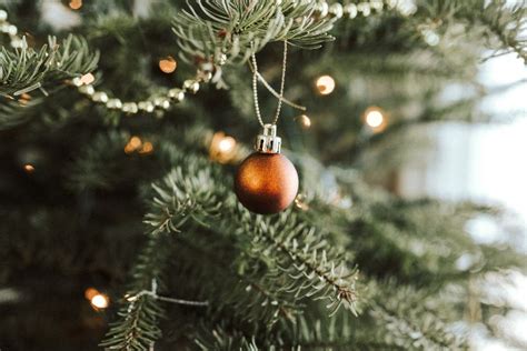 Christmas Tree Fire Prevention Tips to Stay Safe - FRDT