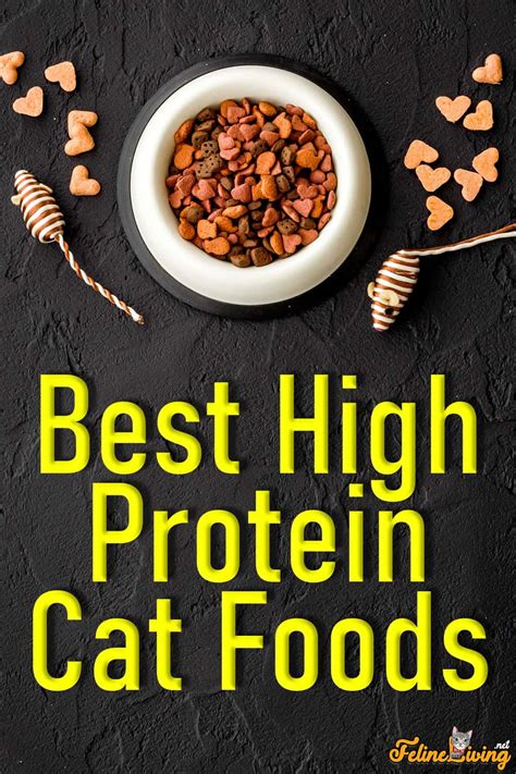 Best High Protein Cat Food: 11 Best Brands In January 2024