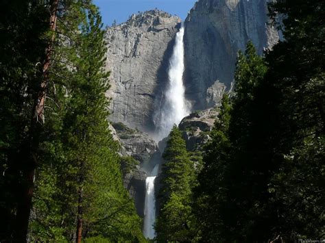 Yosemite Falls | Yosemite falls, National park posters, Yosemite