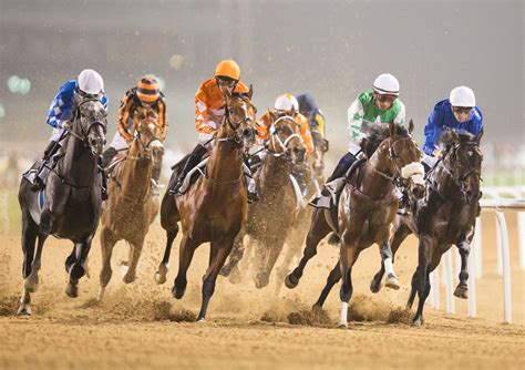 HORSE RACING | The Meydan Hotel