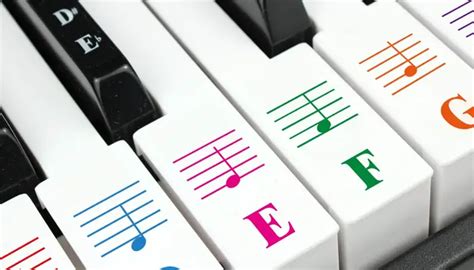 13 Best Piano Keyboard Stickers: How To Customize Your Piano