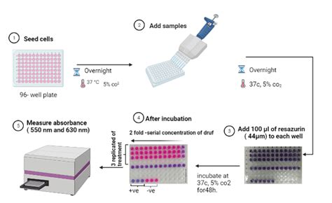 Workflow of the resazurin assay to determine the Ikarugamycin compound... | Download Scientific ...