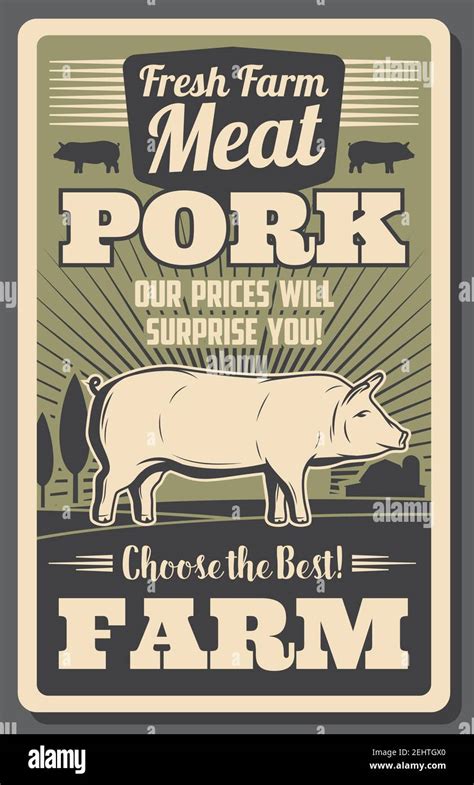 Meat farm poster with pork. Fat pig grown on ranch, organic butchery product vintage brochure ...