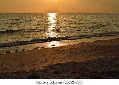 337 Anna Maria Island Sunset Images, Stock Photos & Vectors | Shutterstock