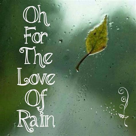 Pin by Rose on ..rainy days☔ | Love rain, Rain quotes, Rain drops