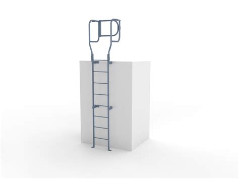 Vertical Access Ladders | Cage Ladder | Wildeck