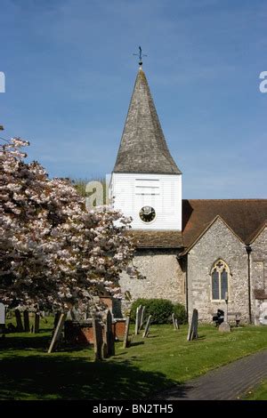 St Nicolas Church, Great Bookham, Surrey in Springtime with cherry ...