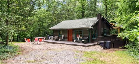 Top 12 Pet-Friendly Cabins In Dahlonega, Georgia - Updated 2024 | Trip101