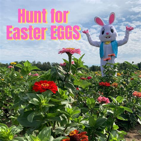 Hunt for Easter Eggs - Rounds Ranch