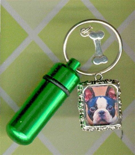 CDE Chain Urns,Cat,Dog ID,Photo Frame,Cat,Pet Urn,Cat,Green Urn,Small Urn - Pet Supplies