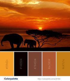 58 Sunrise Color Palettes ideas | sunrise colors, sunrise images, color ...