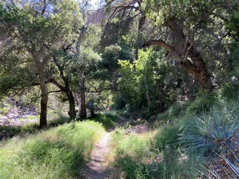 Best River Trails in Castaic | AllTrails