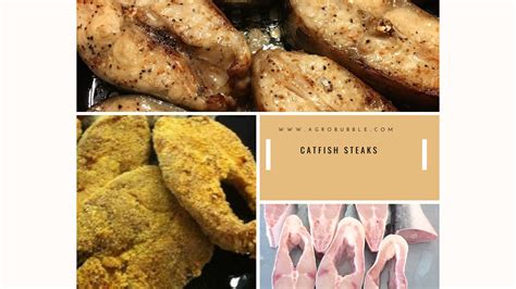 How To Prepare Catfish Steaks | Agrobubble