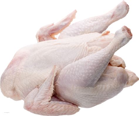 Raw chicken png - Download Free Png Images