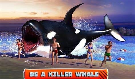 Killer Whale Beach Attack 3D : Amazon.co.uk: Apps & Games