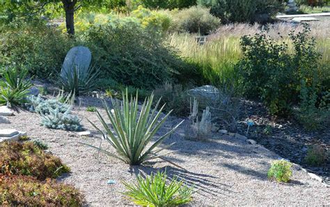 What Is Xeriscaping? Definition, Tips, and Benefits