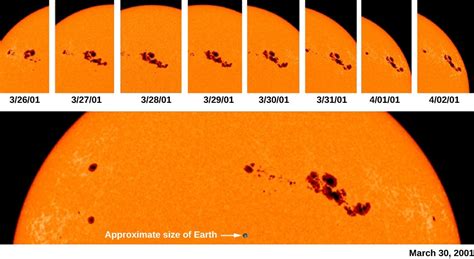 The Solar Cycle | Astronomy