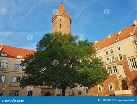 Courtyard of the castle stock image. Image of courtyard - 115433649