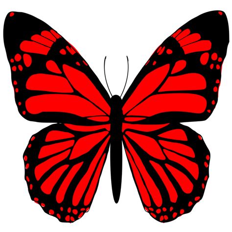 red butterfly design 24134731 PNG