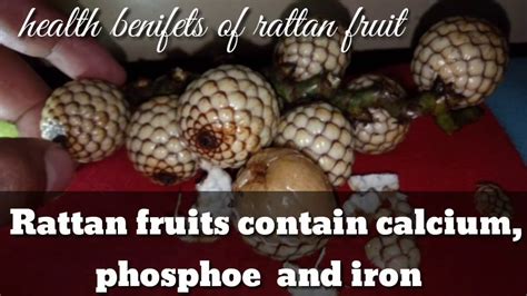 Rattan fruit health benefits - YouTube