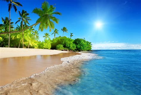 Sunshine beach coast tropical paradise blue sea sky emerald wallpaper | 5320x3603 | 393092 ...