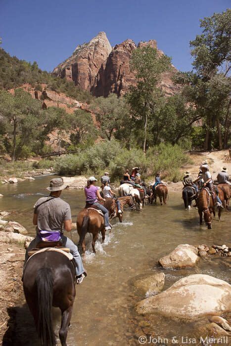 Grand Canyon Donkey Rides | Bryce Canyon Trail Rides Canyon Trail Rides ...