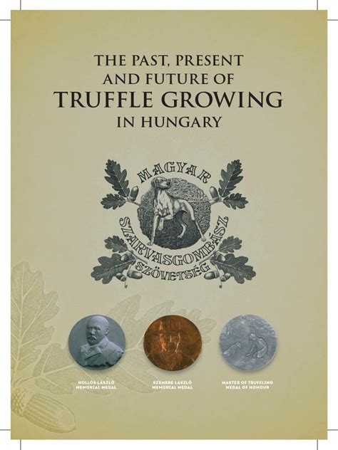 Truffle Growing: The Past, Present and Future of | PDF | Fungus | Organisms