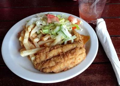 Flying Fish: Characteristics, How They Fly and Barbados | Sea Life ...