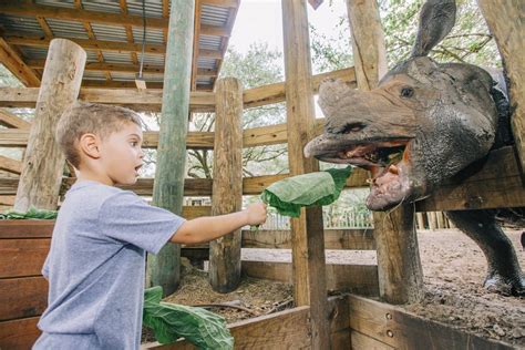 Tampa Zoo - ZooTampa at Lowry Park