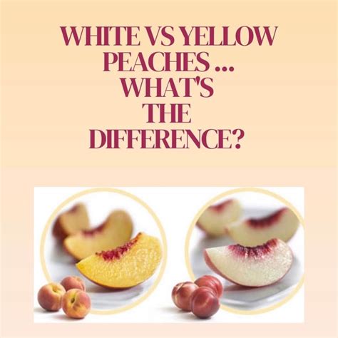 White Peaches vs. Yellow Peaches... What's the Difference? - kiss.cook.eat.