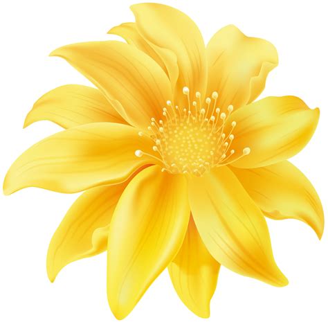 yellow flower clipart png 10 free Cliparts | Download images on Clipground 2024