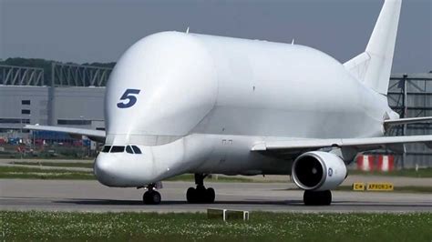 Airbus Beluga landing and takeoff at Finkenwerder, EDHI | Airbus, Beluga, Airplane