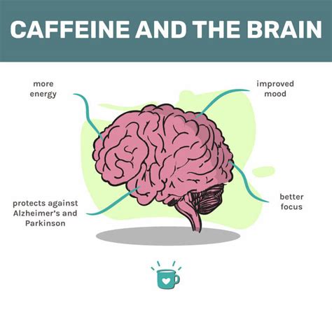 Caffeine Calculator: Know Your Daily Coffee Intake Limit