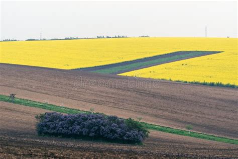 South Moravian Fields, Agriculture Czech Republic, Europe, Waves Stock ...