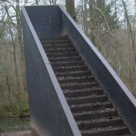 List 93+ Pictures Creepy Stairs In The Middle Of The Woods Updated