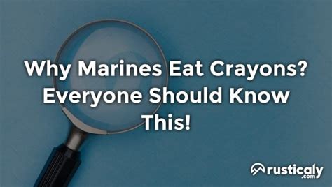 Why Marines Eat Crayons? Everything You Need To Know