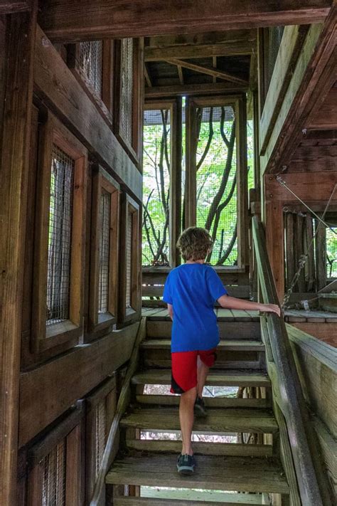 Hiking to the Six-Story Treehouse at the Cayuga Nature Center Near Ithaca - Uncovering New York