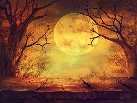 Halloween Background With Ball Moon Photography Backdrop – Shopbackdrop